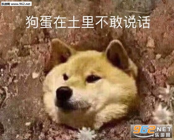 �ֳ�ԭ�εĸ�Ц�����