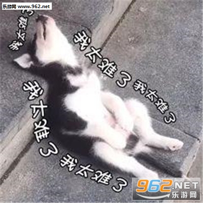 ��̫���˱����