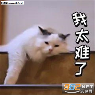 ��̫���˱����