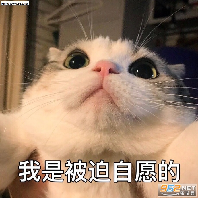 ȷ�������Ҷ�������