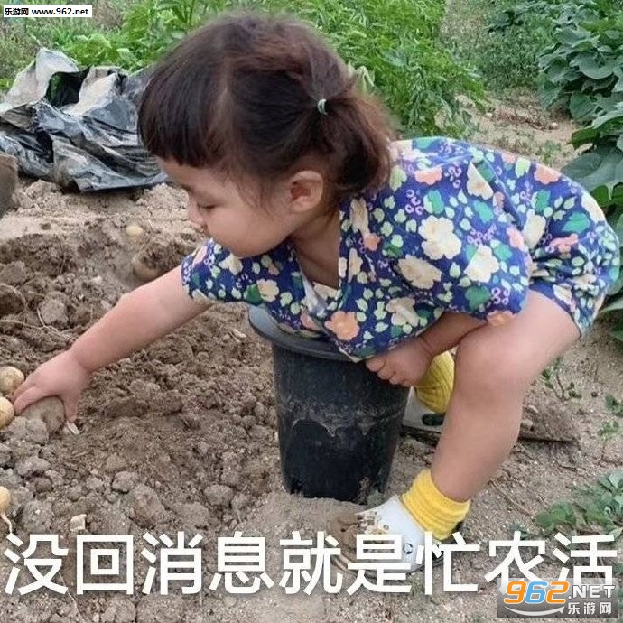 ȷ�������Ҷ�������