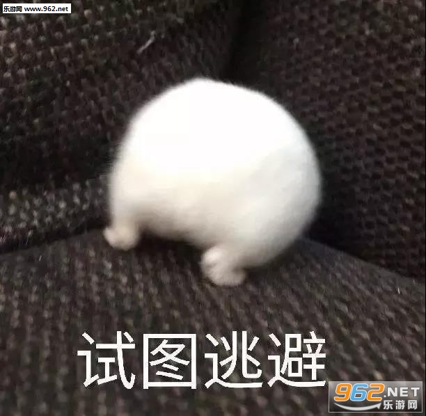 ��ͼ�ӱܱ����ͼƬ