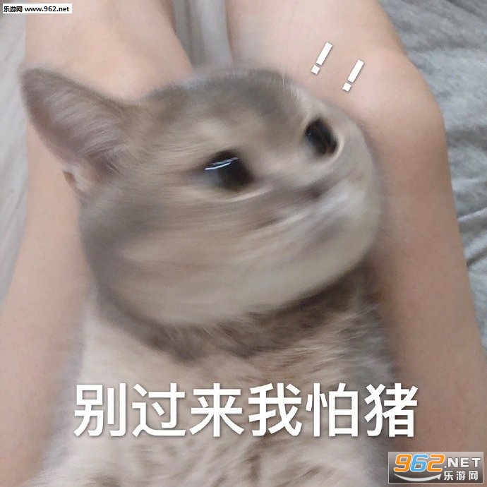 ��ͼ�ӱܱ����ͼƬ