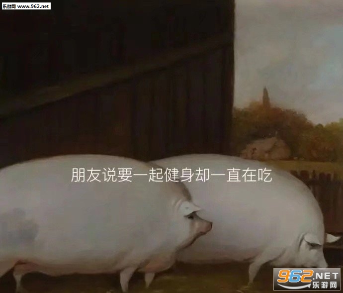 美丽是我的武器表情包 美丽是我的武器表情包