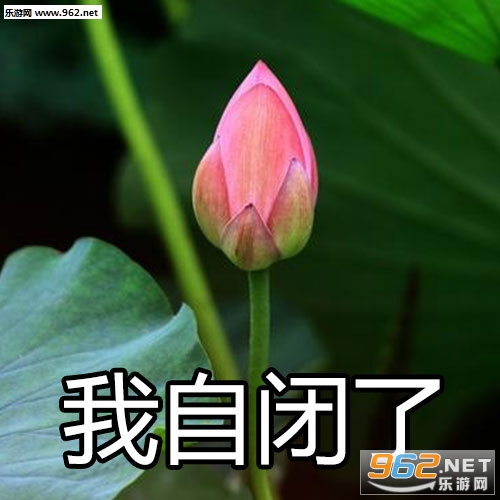 �ɻ���һ�������