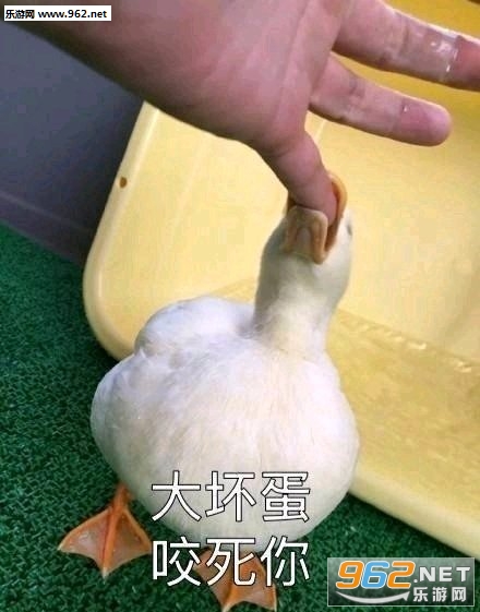 ����������������