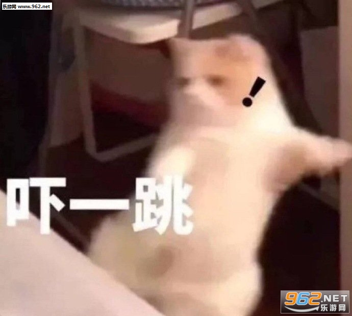 卑微小兔在线自闭表情包 卑微小兔在线自闭表情包