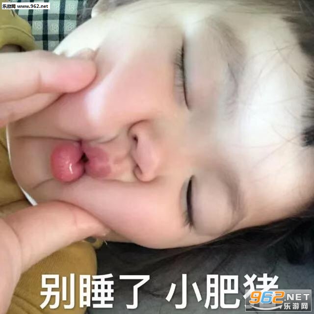 ɧ����Ъ��è�����