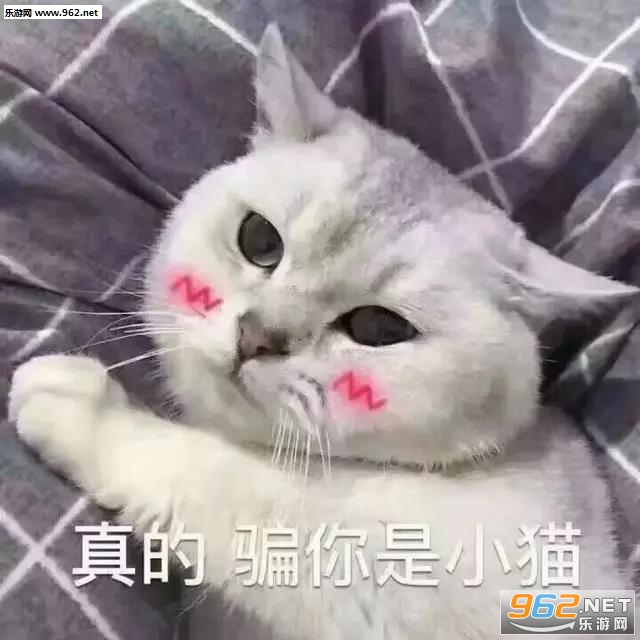 ����ô��Զ����ô�໰��˵�����
