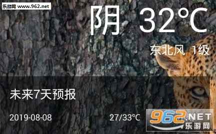 ��������app