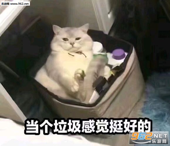 ע������ɢ�������ͼ7