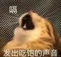 ��̫���˱������ͼ1