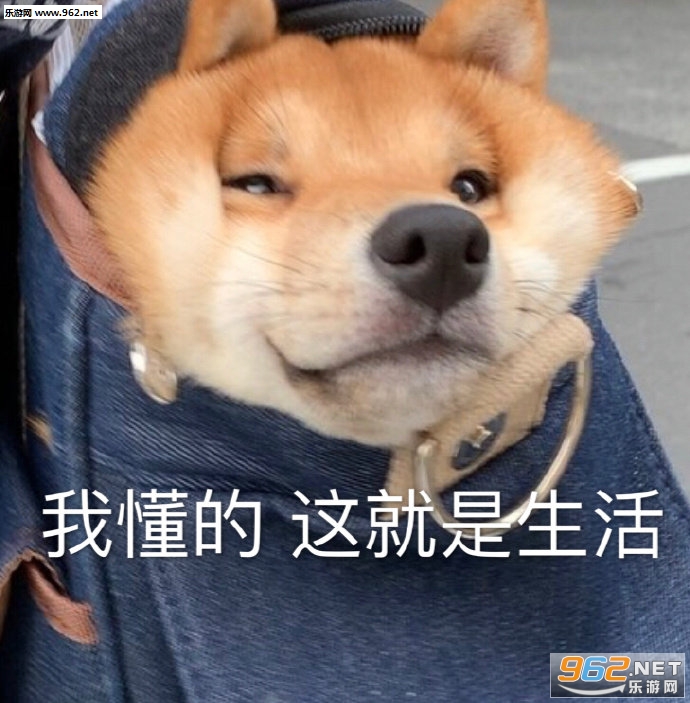 ��̫���˱������ͼ7
