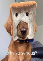 Ϊʲô�������Ӣ��С������