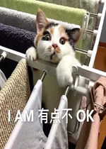 ����ҲŪһ�������