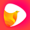 ����app