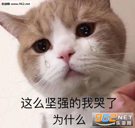 �����˲����˽����������ͼ0