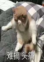 �Ѹ�ͷʹ�����