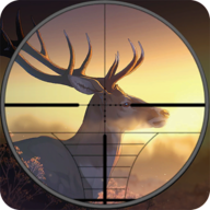 Big Bucks Deer Hunter 2019: Animal Hunting 3D��¹��2019��׿��