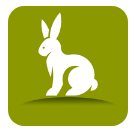 ��������app