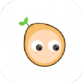 С����app