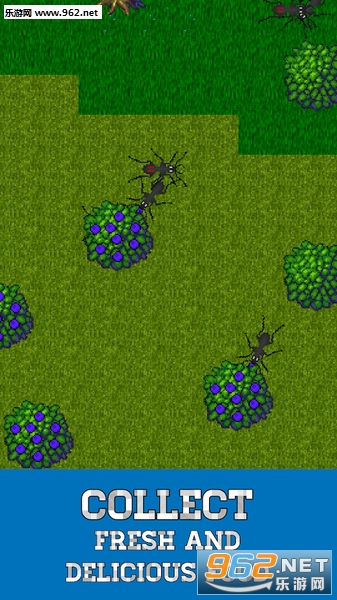 Ant Evolution(蚂蚁进化模拟器安卓版)截图3