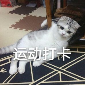 ñ��һ��˭�������������ͼ0