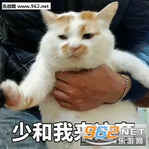 �ٺ�����������è�������ͼ6