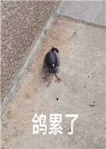 �����˱����
