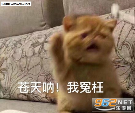 ��ϲ����лл���Ǹ����˱������ͼ5