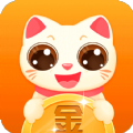 ���Խ�app