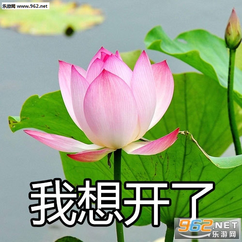 �ɻ���һ���������ͼ1