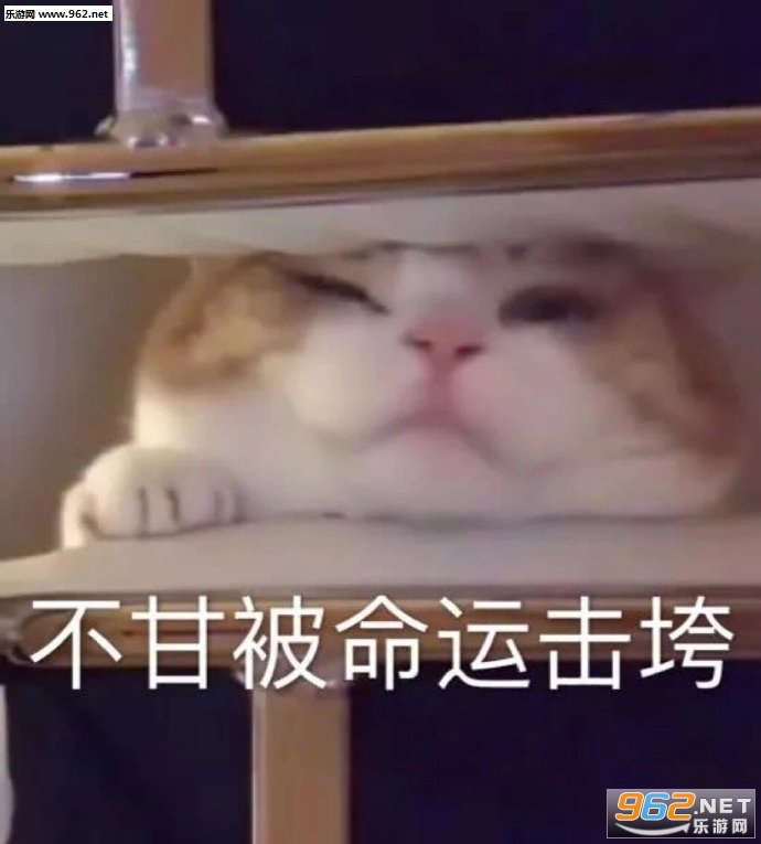 ������������������ͼ3