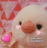 ��Ӯ���ҵ���you won my heart�������ͼ7