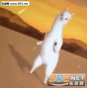 ��������������ͼ1