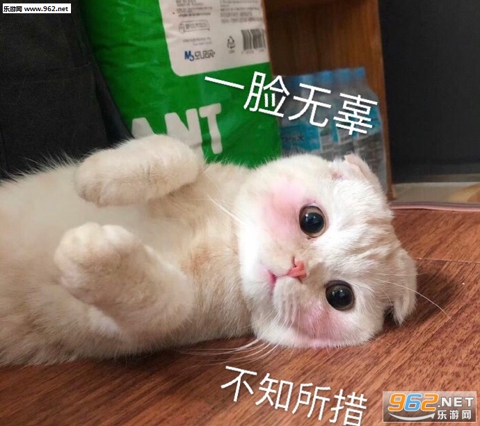 �����������ͼƬ��ͼ2