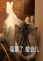 ɧ����Ъ��è�����