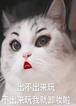�����ҳ���ı����