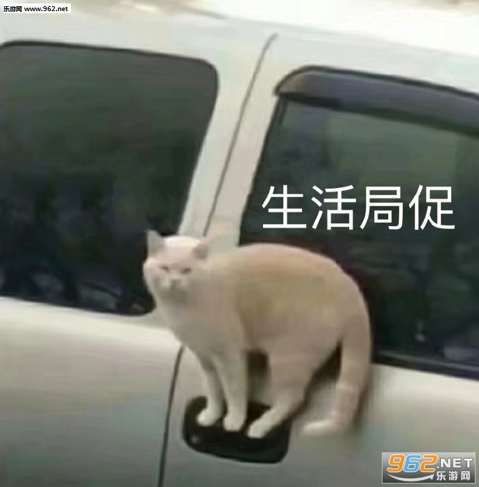����ëǮ����������ͼ5