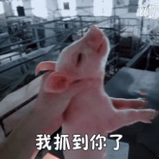 Сί�������̱������ͼ7