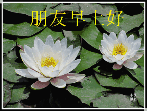 �ݰ������ڱ������ͼ7