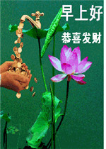 �ݰ������ڱ����
