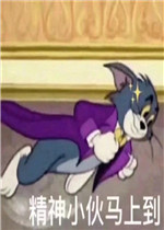 ί�����������