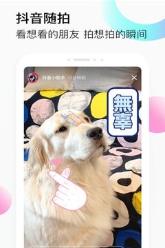 抖音短视频app截图2