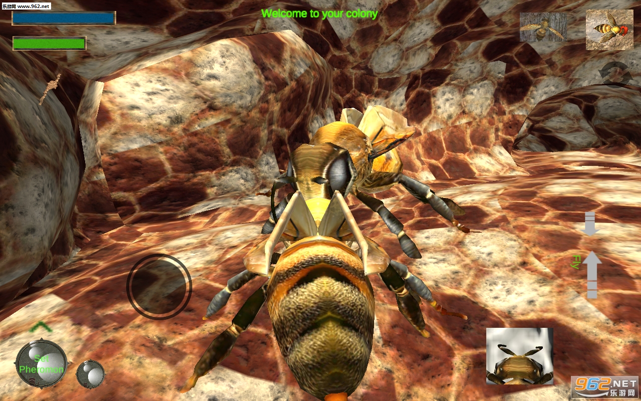 Bee Nest Simulation 3D(蜂巢模拟器3D安卓版)截图1
