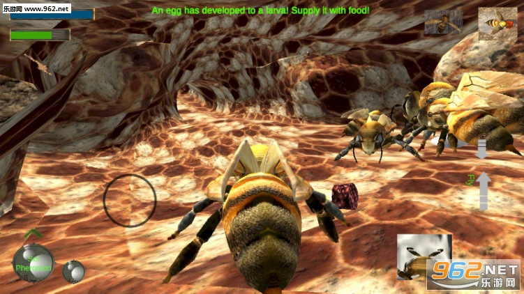 Bee Nest Simulation 3D(蜂巢模拟器3d手游)截图2