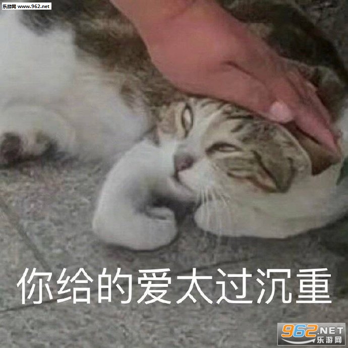 �ҵ�Ǯȥ���˱������ͼ0