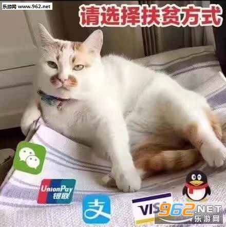 ok����Э�˱������ͼ0