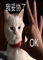 ok����Э�˱����
