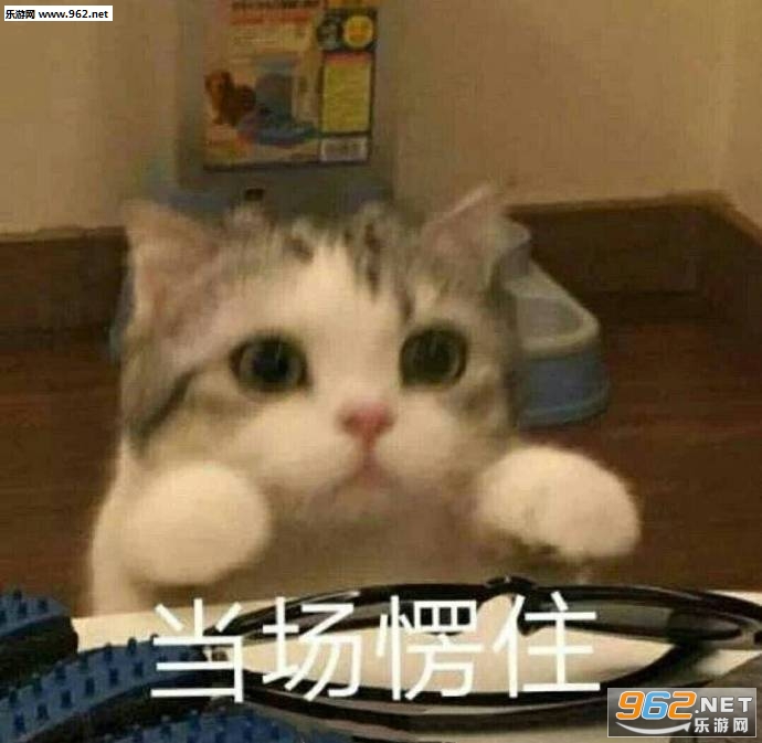 �����סè��������ͼ6